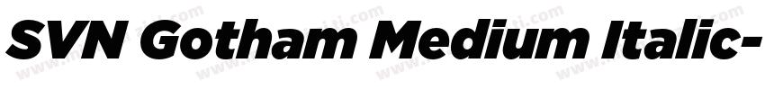 SVN Gotham Medium Italic字体转换